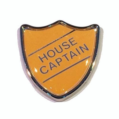 HOUSE COUNCIL shield badge